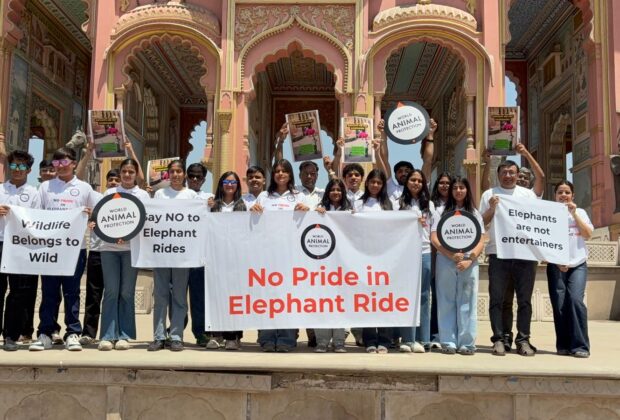 World Animal Protection Calls For End To Elephant Rides Everywhere On Occasion Of Save The Elephant Day