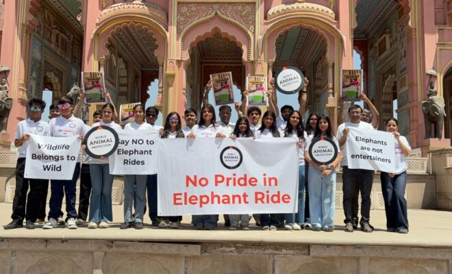 World Animal Protection Calls For End To Elephant Rides Everywhere On Occasion Of Save The Elephant Day
