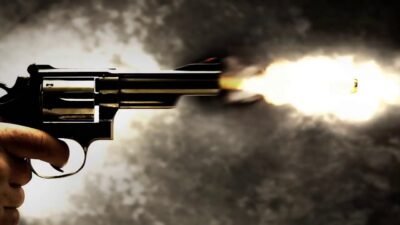 Gun