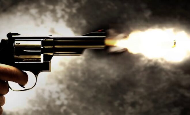 Gun