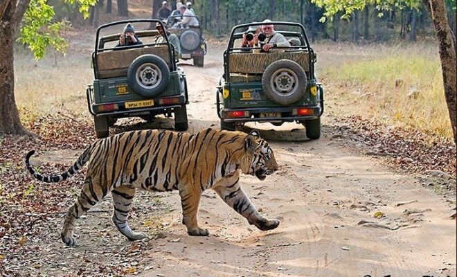 Ranthambore