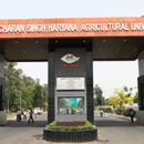Haryana
