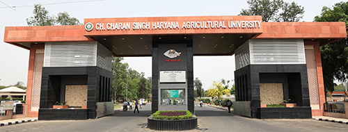 Haryana