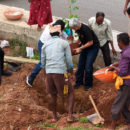 Bloom Avenue: A Year Round Flower Corridor On Bengaluru's Major Arterial Road In Kempegowda Layout