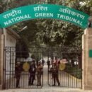Ngt
