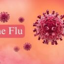 Swine flu