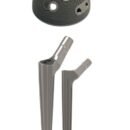 Meril Launches HALO Stem and Latitud Revision Cup System for Anatomical Reconstruction