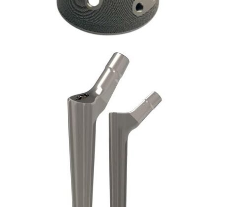 Meril Launches HALO Stem and Latitud Revision Cup System for Anatomical Reconstruction