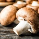 Mashroom