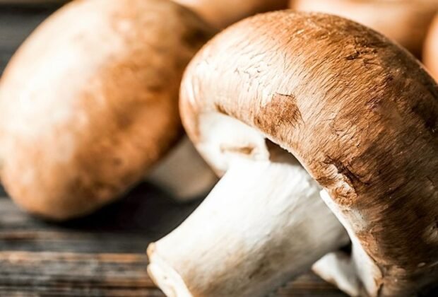 Mashroom