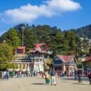 Shimla